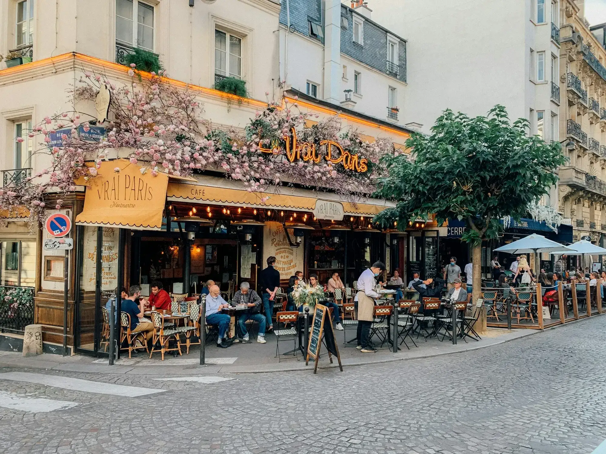 Terrasse de café sous la glycine, Paris